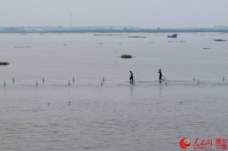 В провинции Цзянси появилась ?шоссейная дорога на воде?