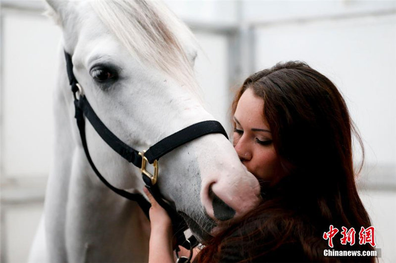 Всемирно известное конное шоу "Cavalia" впервые пройдет в Пекине