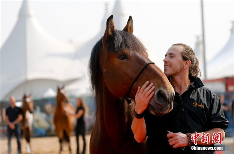 Всемирно известное конное шоу "Cavalia" впервые пройдет в Пекине