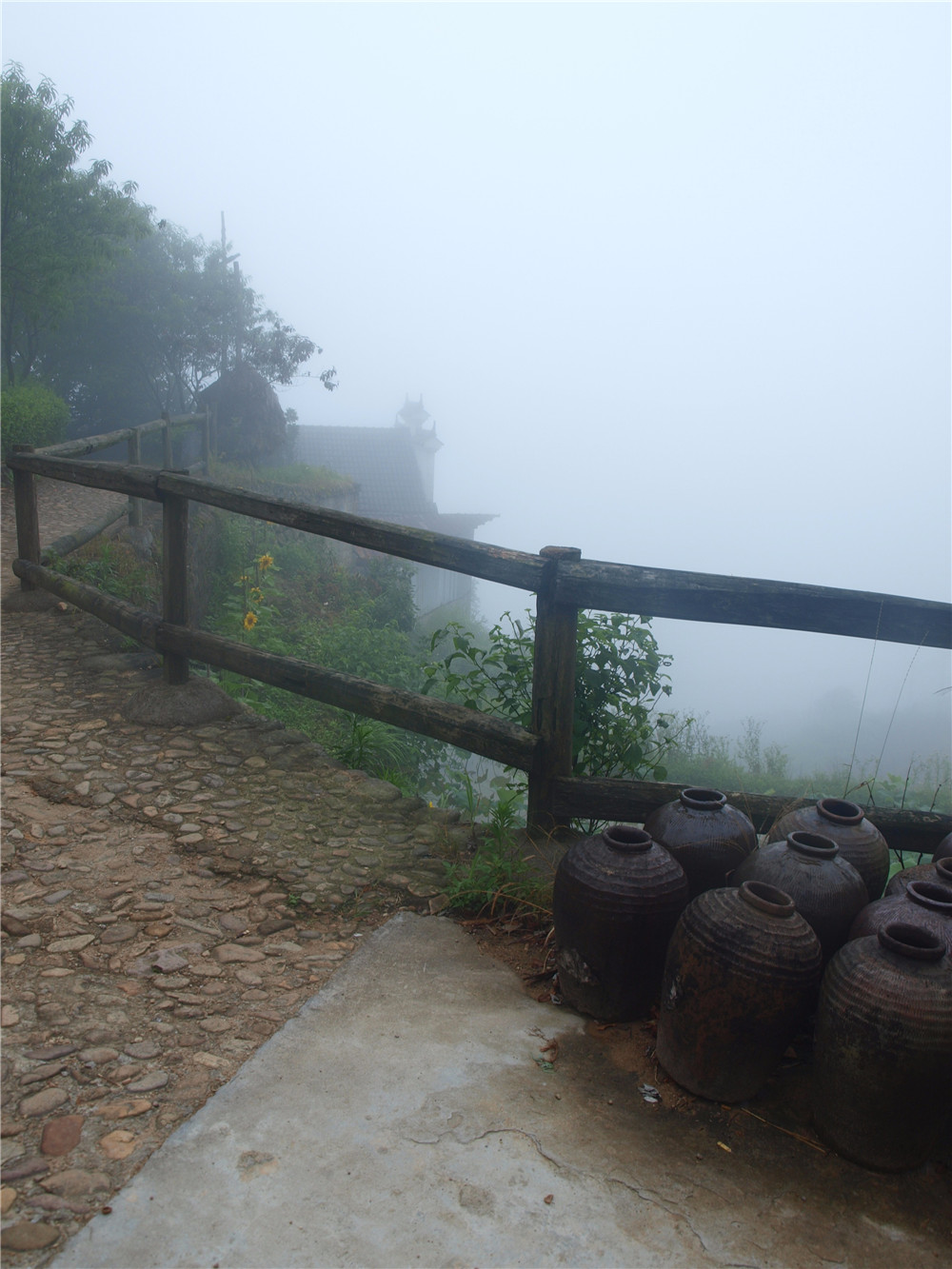 Пров. Чжэцзян, Songyang, лето 2016. Фотографии сделаны во время поездки, организованной комнанией "That`s China".