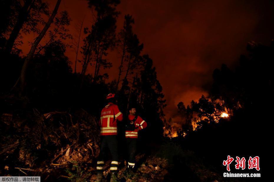 Число погибших при лесных пожарах в Португалии возросло до 57 человек