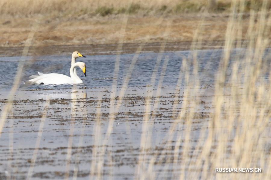 Гармония человека и природы в уезде Баркель