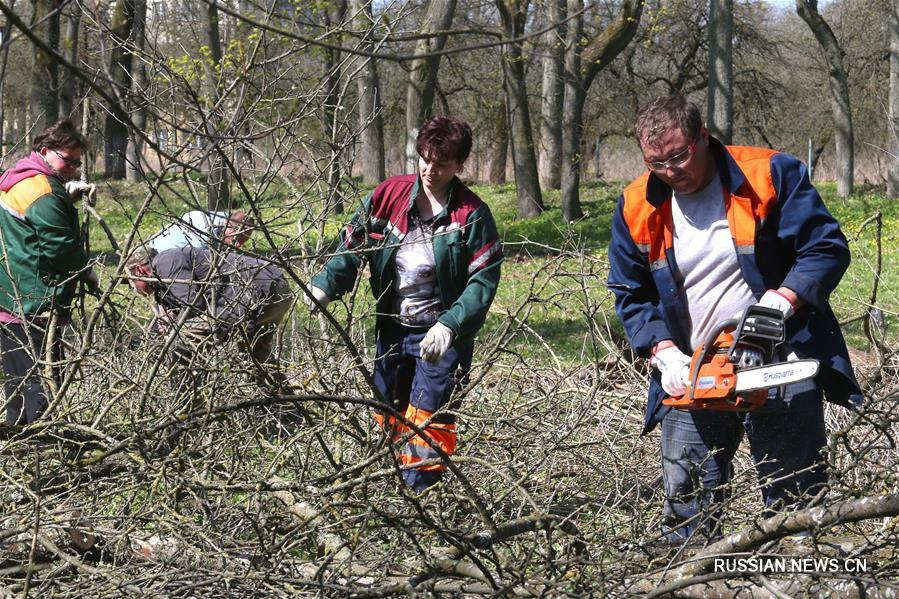 В Беларуси прошел республиканский субботник