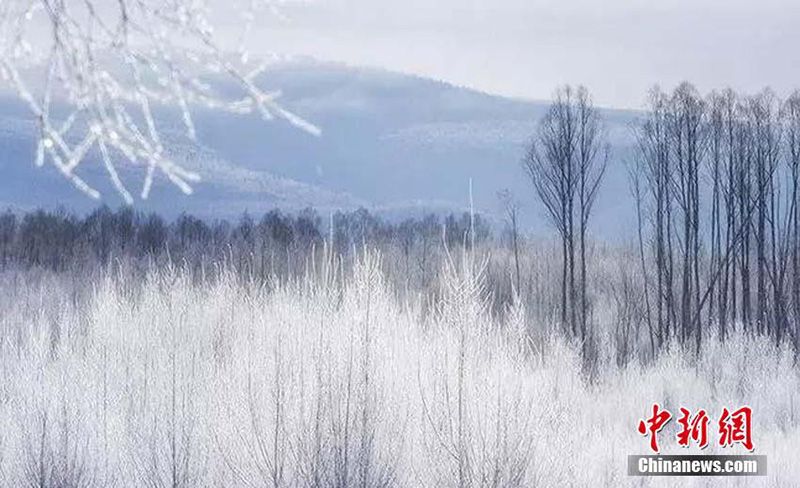 Изморозь в ?самом холодном поселке Китая?