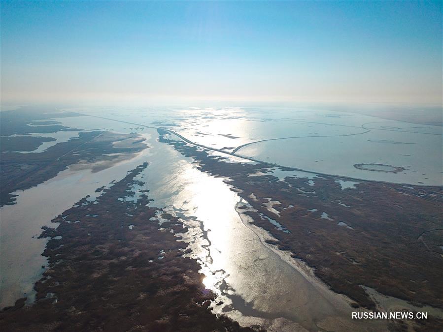 Вид с воздуха на водно-болотные угодья в устье реки Хуанхэ