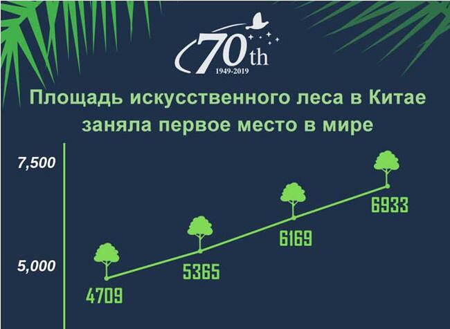 Площадь искусственного леса в Китае заняла первое место в мире