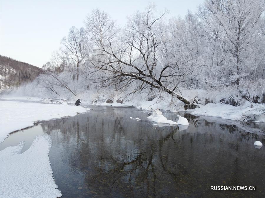 Сказочный мир в лесах на "полюсе холода" Китая