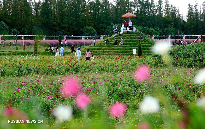 Веселые каникулы в Китае