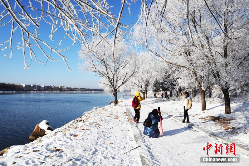 Серебряный иней на деревьях китайского города Цзилинь