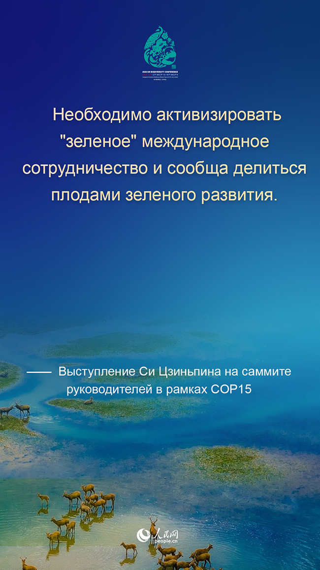 Си Цзиньпин призвал совместно начать новый поход на пути к высококачественному развитию человечества