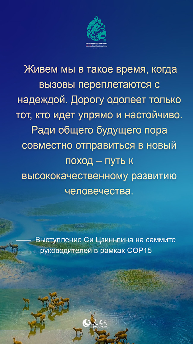 Си Цзиньпин призвал совместно начать новый поход на пути к высококачественному развитию человечества