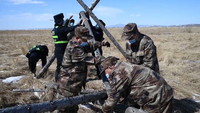 Заповедники в Север-Восточном Китае обеспечивают перелетных птиц дополнительным кормом