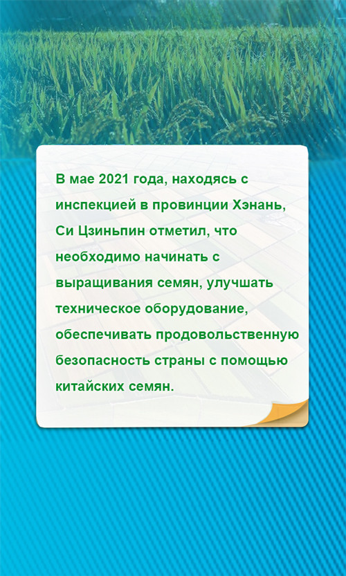 Си Цзиньпин придает большое значение выращиванию семян??