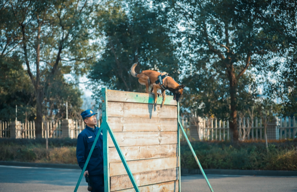 Пожарные прощаются с погибшей поисково-спасательной собакой