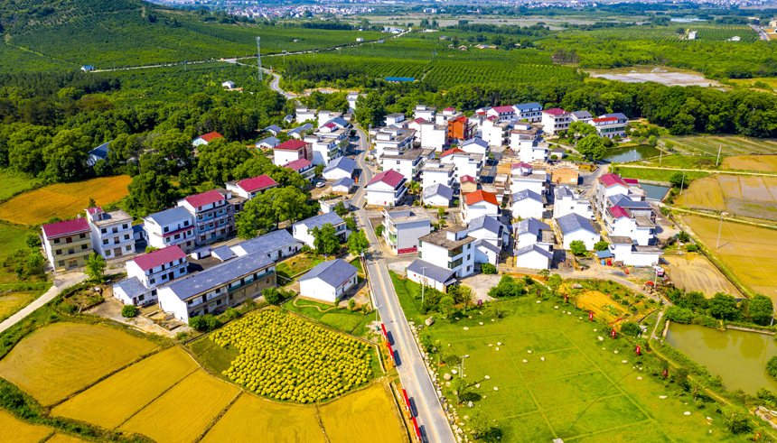 В городе Синьюй развита экологически чистая промышленность