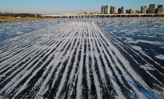 На реке Сунхуацзян в Харбине собирают лед для изготовления ледяных скульптур