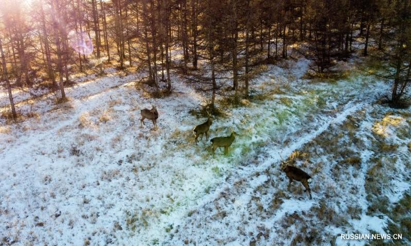 Живописный пейзаж в лесопарке Луаньхэюань на севере Китая