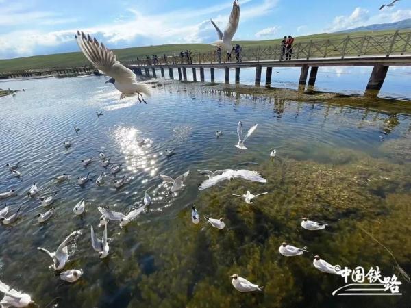 Путешествие по Синьцзяну на поезде