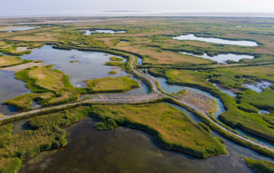 14 июля 2020 года, вид на Национальный природный заповедник водно-болотных угодий озера Эби-Нур в Синьцзян-Уйгурском автономном районе на северо-западе Китая. /Фото: Синьхуа/