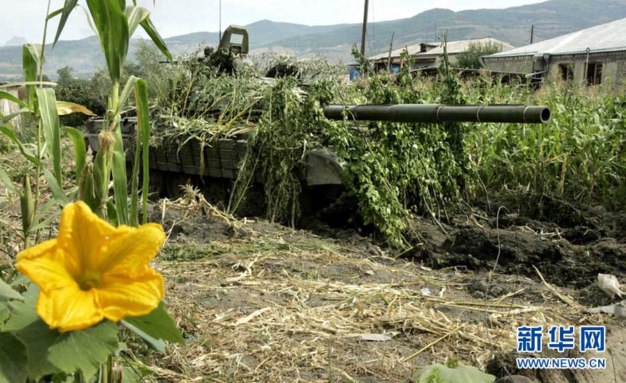 Военный камуфляж разных стран мира (7)