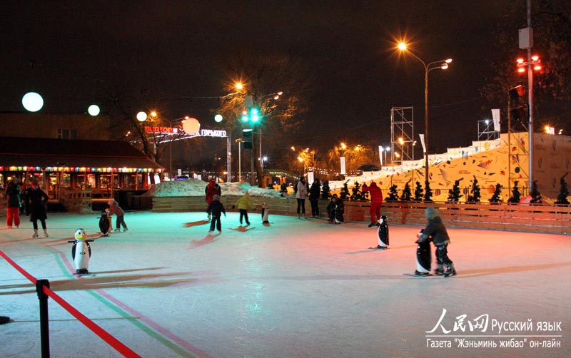 Самый большой в Европе каток в парке им. Горького в Москве (23)