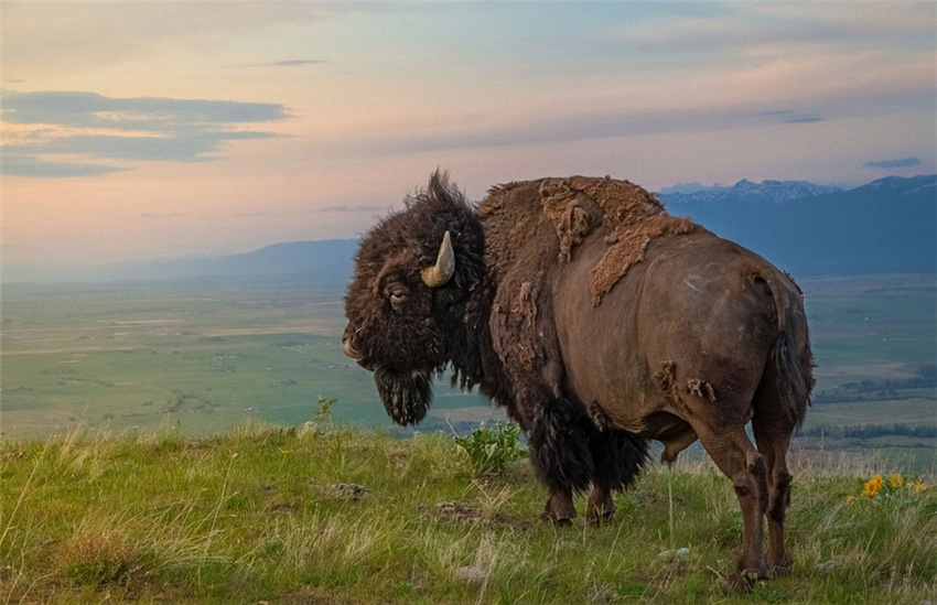 Отличные работы фотоконкурса Журнала ?National Geographic Traveler? (4)