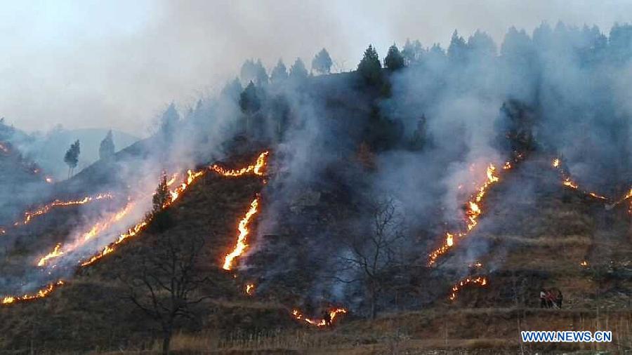 Четверо человек погибли в результате лесного пожара в Северо-Западном Китае (3)