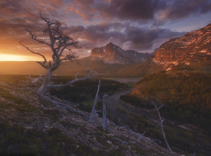 Замечательные американские пейзажи от фотографа Райана Диара(Ryan Dyar) (4)