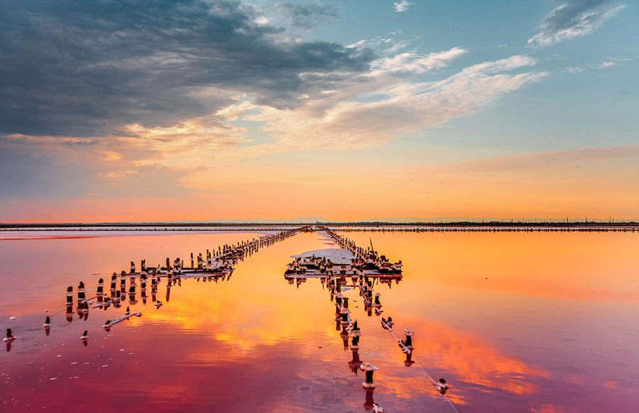 Фотограф сделал прекрасные снимки ?Гнилого моря? в Крыму (8)